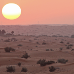 Overnight-Desert-Safari-Qatar
